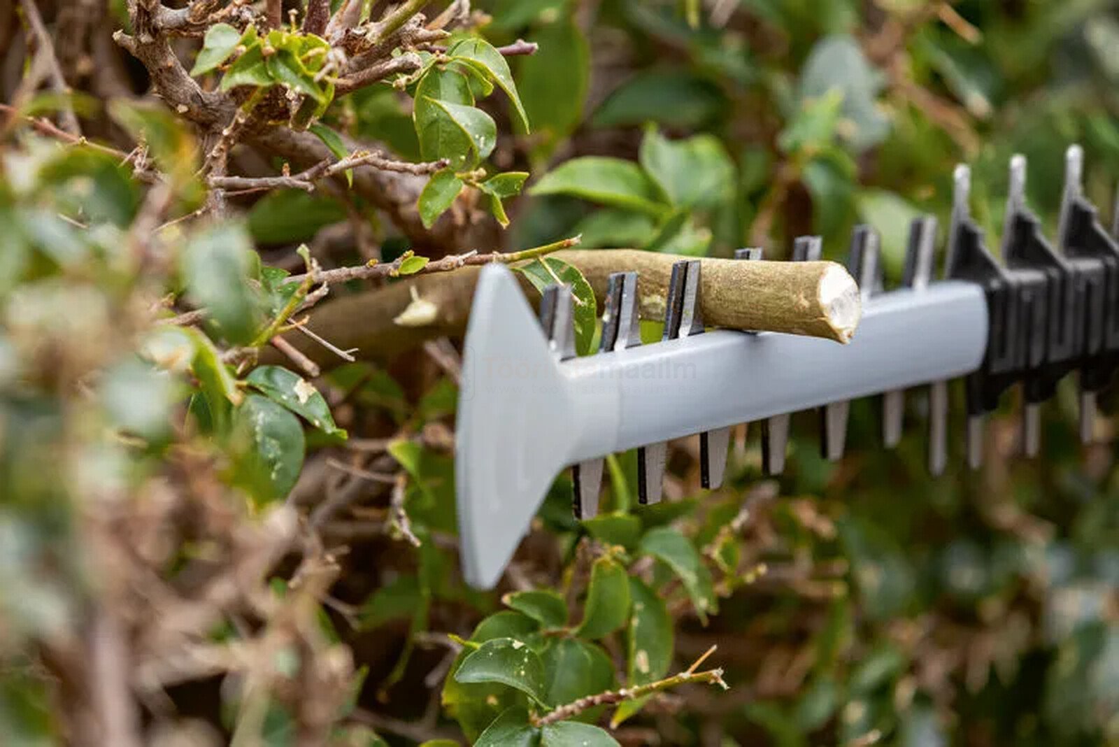 Bosch akuhekilõikur GHE 18V-50 - ilma aku ja laadijata 4