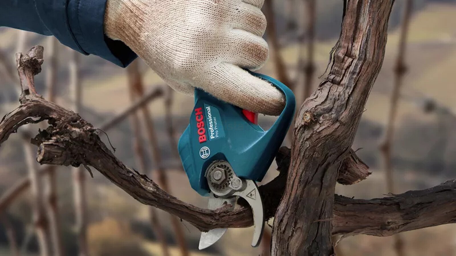 Bosch akutoitel oksalõikur Pro Pruner - ilma aku ja laadijata 2