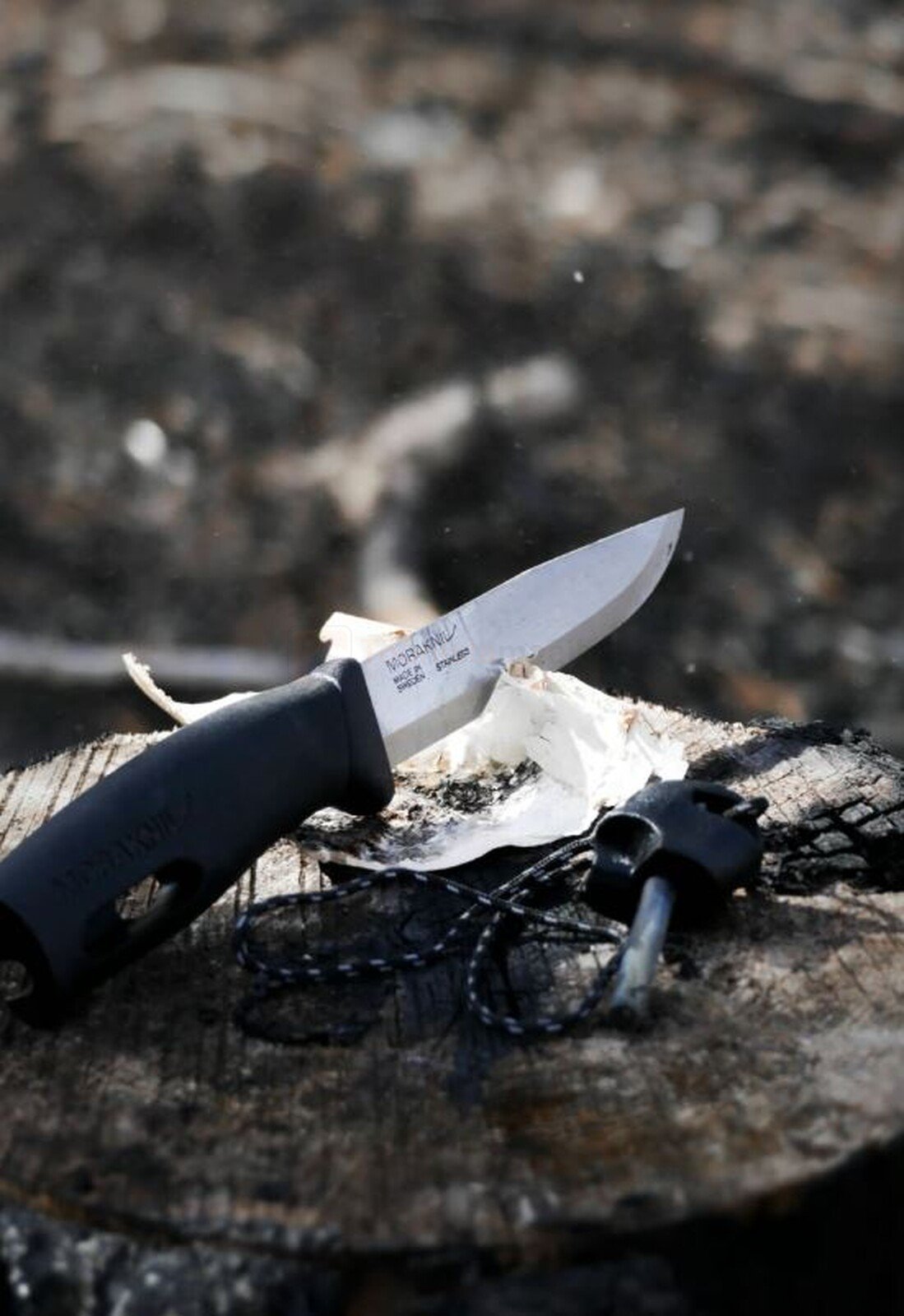 Pussnuga süütepulgaga Morakniv Companion Spark (S) 104 mm, must 4