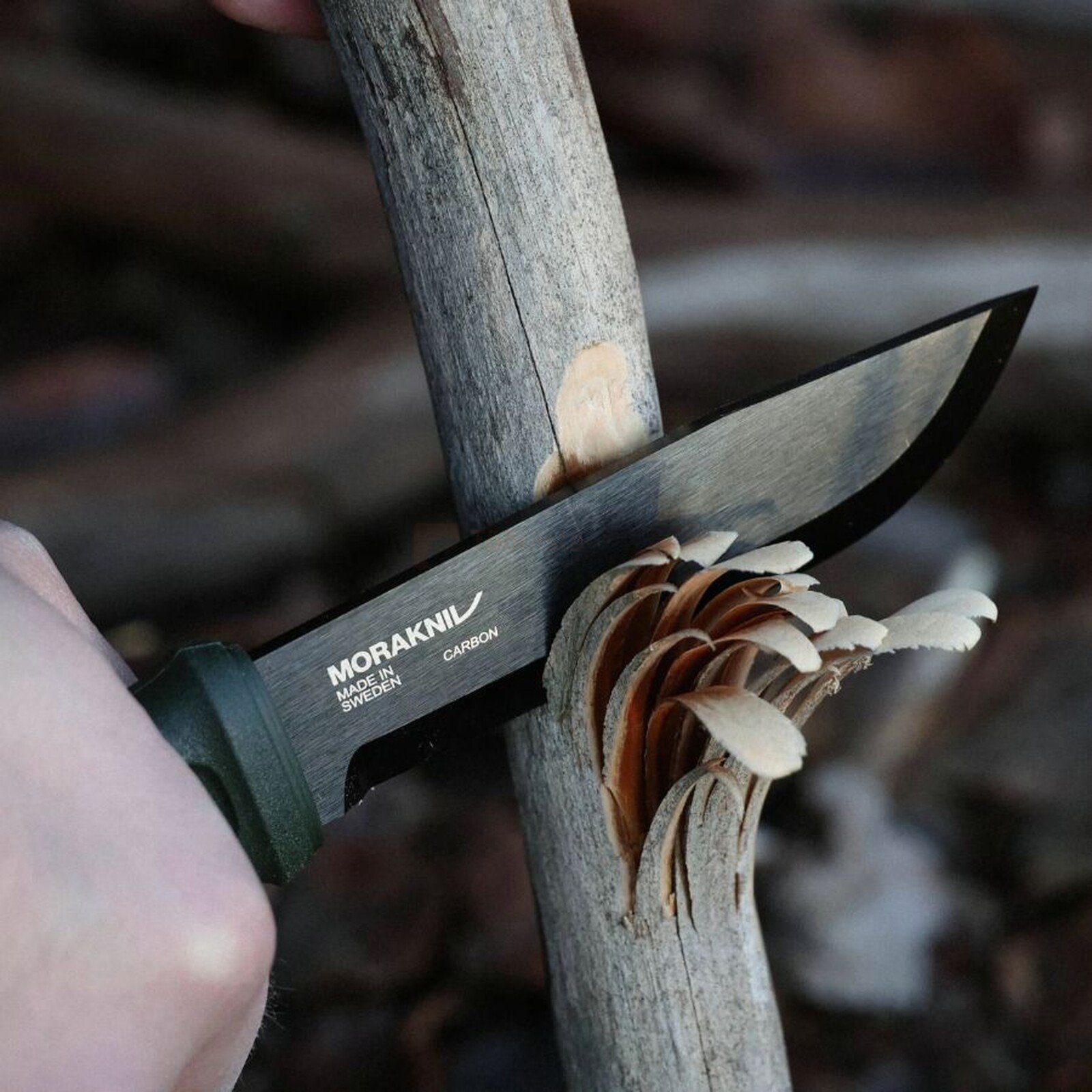 Pildil on näha, kuidas MORAKNIV Garberg BlackBlade pussnuga kasutatakse puidu koorimiseks.