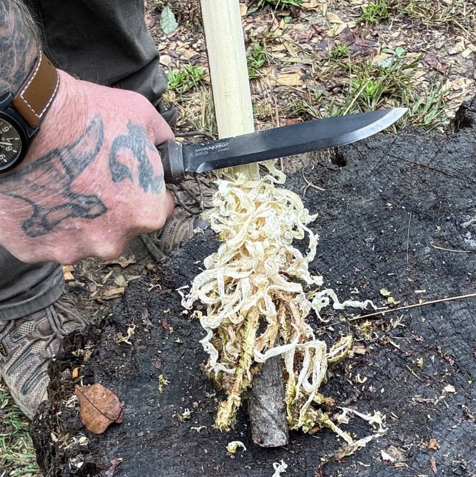 Pildil on mees, kes kasutab Morakniv Garberg Grand matkanuga BlackBlade™ puidu peeneks lõikamiseks, et valmistada...