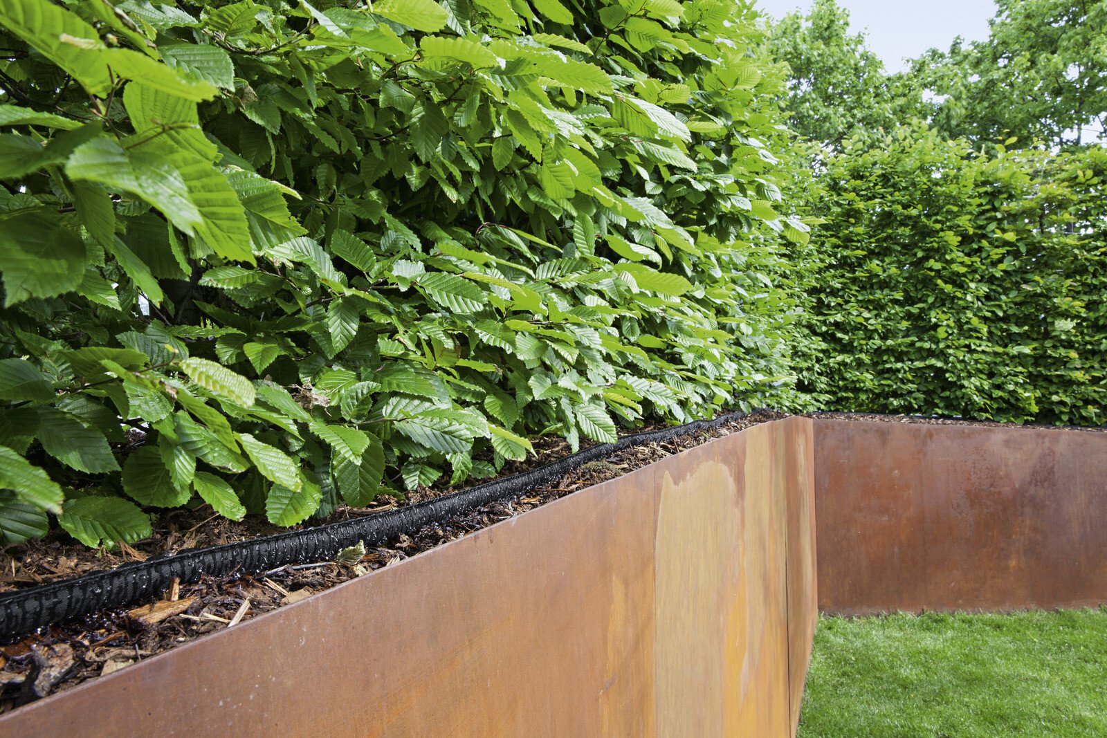 Pildil on näha Kärcheri niisutusvoolik 1/2" 25 m, mis on paigaldatud piki hekki, et tagada taimede ühtlane kastmine.