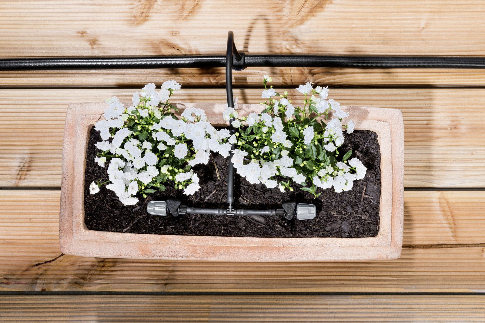 Pildil on Kärcheri potitaimede kastmise komplekt, mis on paigaldatud puidust terrassile ja kastab kahte valgete õitega...