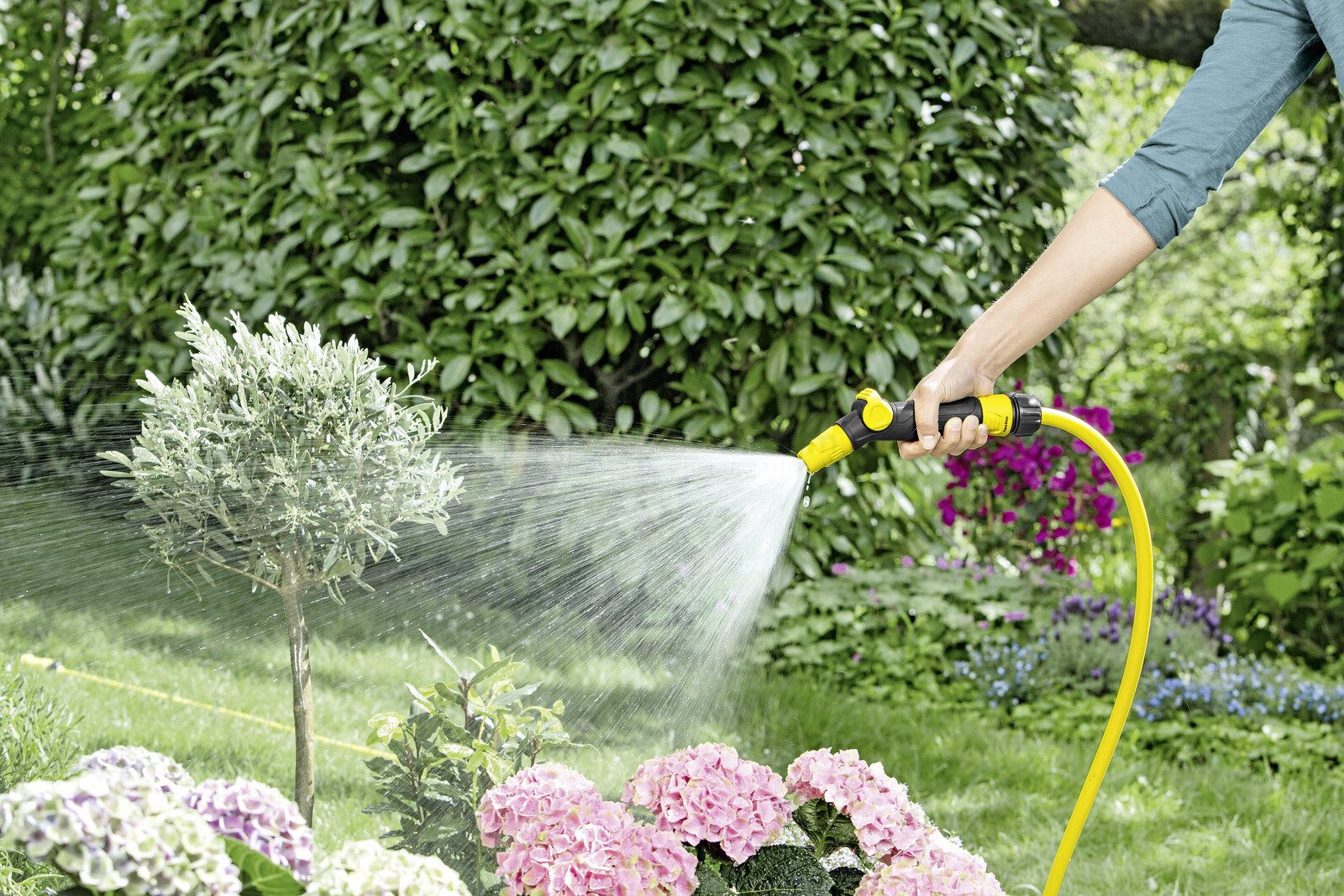 Pildil on näha, kuidas inimene kasutab Kärcher PrimoFlex® 1/2" – 25 m voolikut aia kastmiseks, suunates veejuga lilledele...