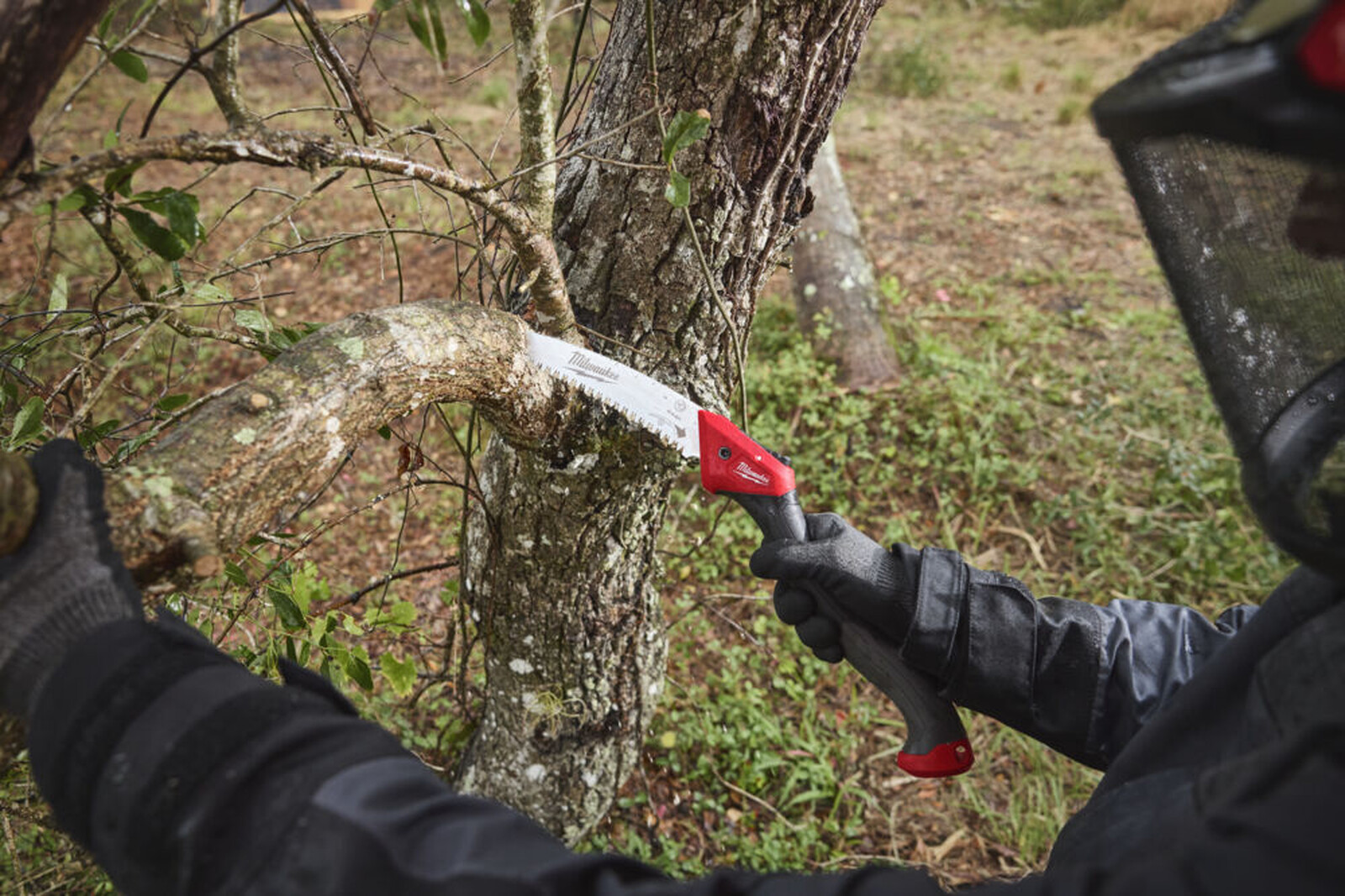 Pildil on näha, kuidas inimene kasutab Milwaukee 254 mm kokkuklapitavat oksasaagi puuoksa saagimiseks.