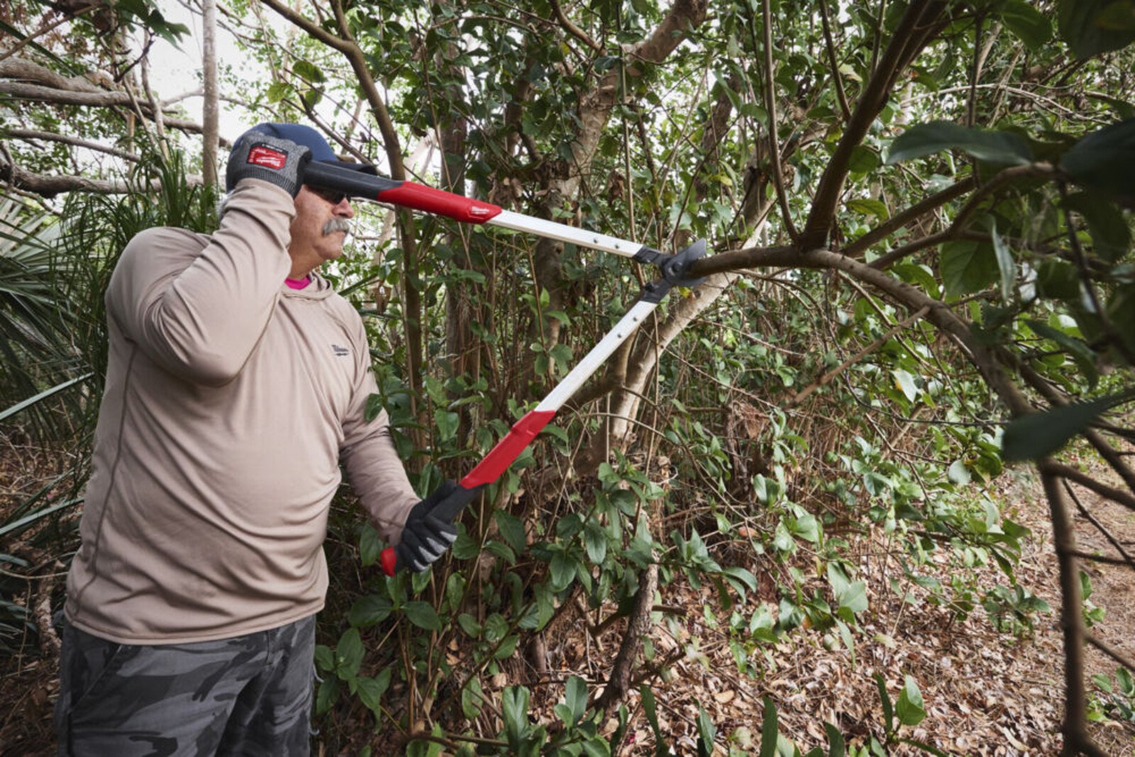 Pildil on mees, kes kasutab Milwaukee oksalõikurit, et lõigata oksi puu küljest.