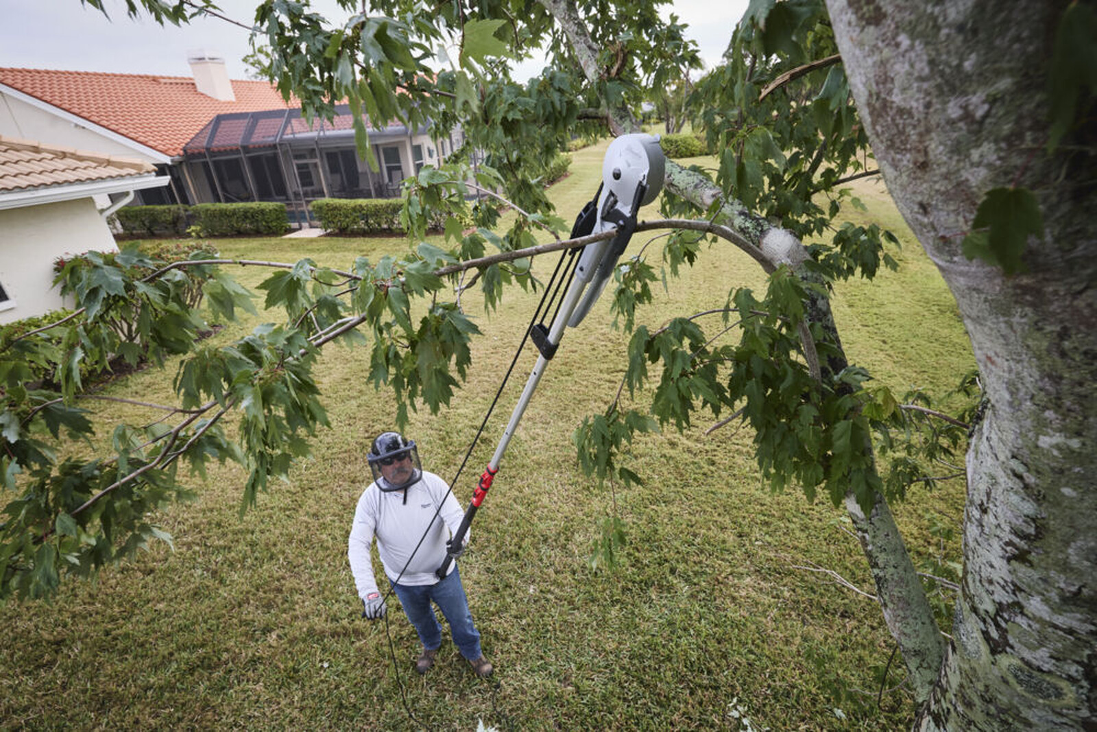 Pildil on mees, kes kasutab Milwaukee teleskoop-oksasaagi/lõikurit, et lõigata puuoksi.