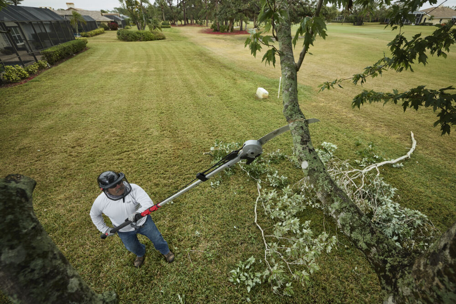 Pildil on näha, kuidas inimene kasutab Milwaukee teleskoop-oksasaagi/lõikurit, et lõigata puuoksi.
