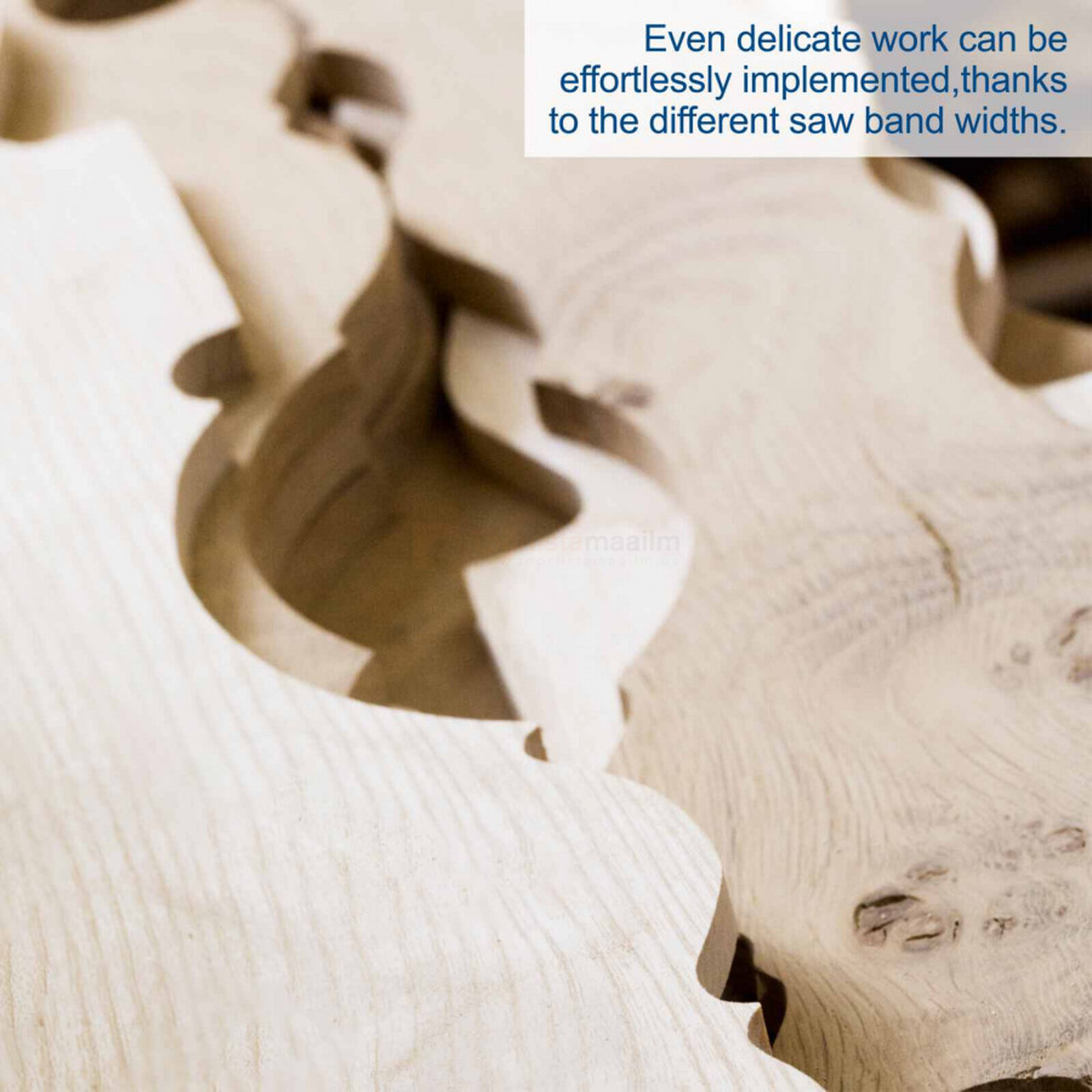 Scheppach lintsaag HBS 25 3