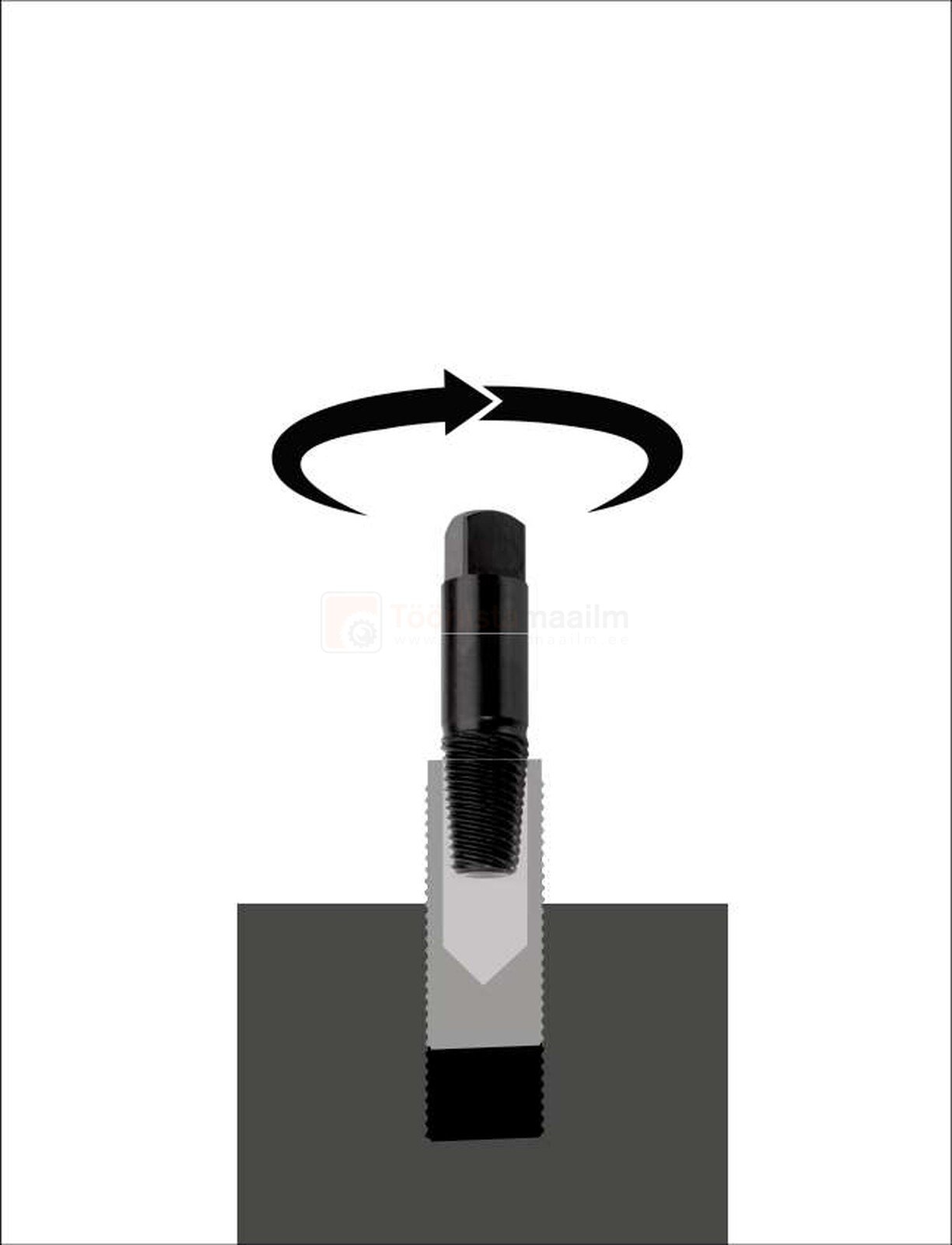 Pildil on näha Rennsteig murdund poltide väljakeerajate komplekti, millega keeratakse välja murdunud polt, näidates...