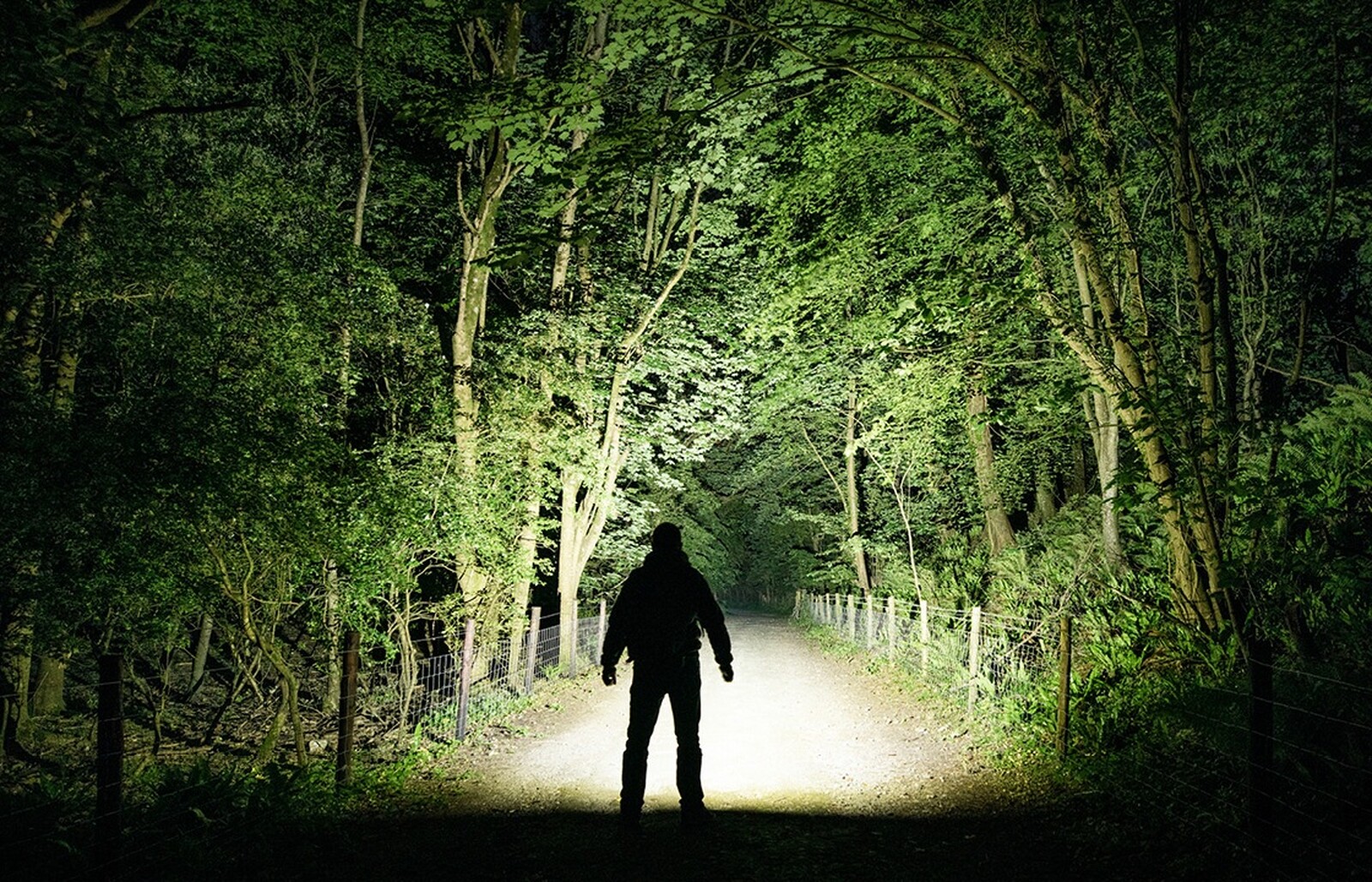 Pildil on näha pimedas metsarajal seisvat siluetti, keda valgustab võimas NITECORE EDC37 taskulamp, mis paistab oma...