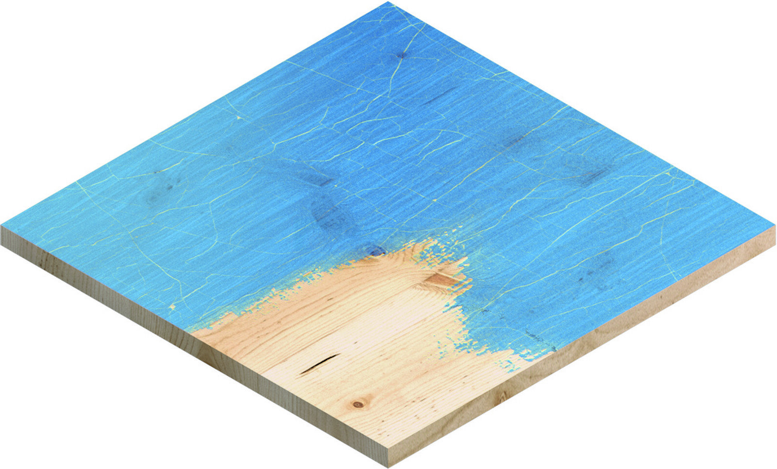 Bosch lihvvõrgu rull EXPERT M480 115 mm x 5 m 3