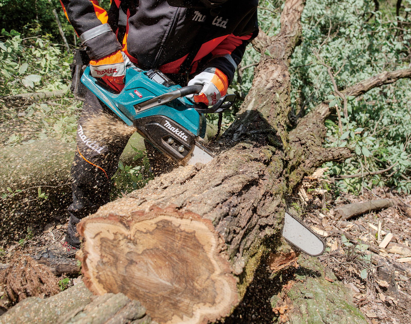 Pildil on näha, kuidas inimene kasutab Makita akukettsaagi UC030GZ01, XGT, et lõigata puutüve.