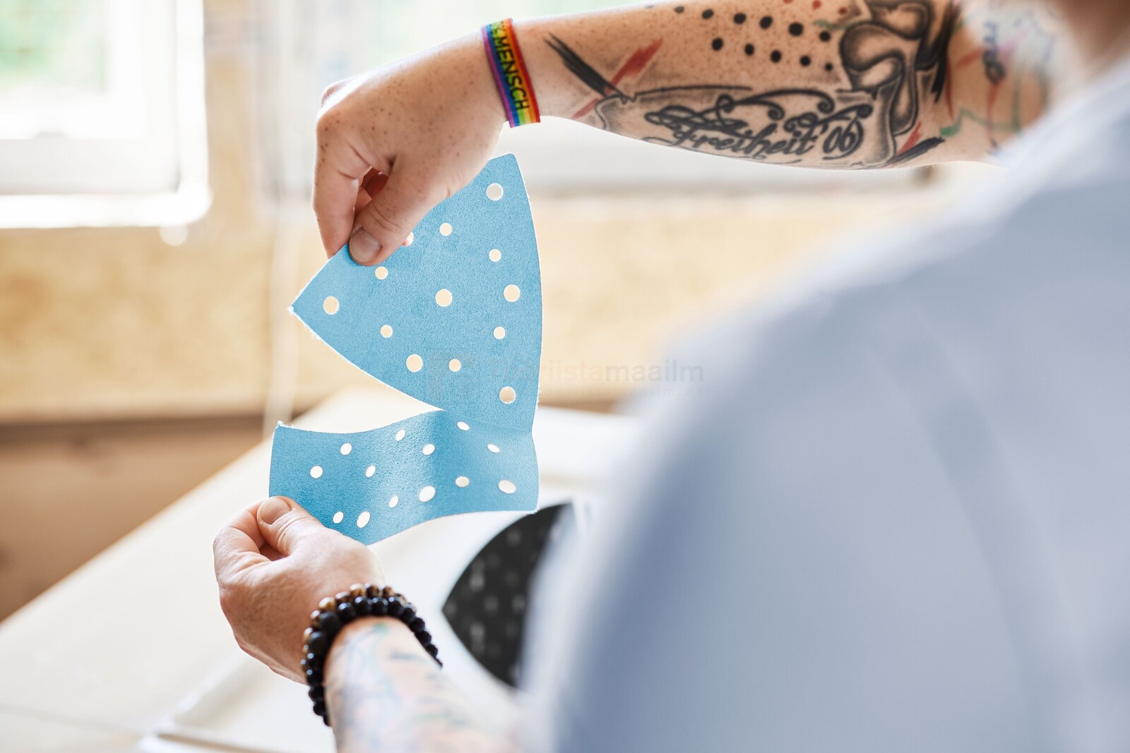 Festool akukolmnurklihvija DTSC 200-Basic - ilma aku ja laadijata 10