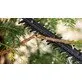 Bosch cordless hedge trimmer EasyHedgeCut 18V-44-11