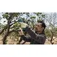 Bosch cordless branch cutter Pro Pruner