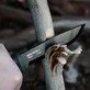 Pildil on näha, kuidas MORAKNIV Garberg BlackBlade pussnuga kasutatakse puidu koorimiseks.