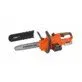 Powerplus Dualpower cordless chainsaw