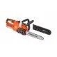 Powerplus Dualpower cordless chainsaw