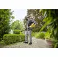 Kärcher cordless hedge trimmer PHG 2-18, without battery and charger