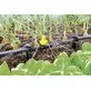 Kärcher micro-spray nozzle set 5-piece