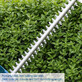 Scheppach аккумуляторный кусторез C-HT570-X-Set S