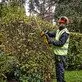DeWalt akumuliatorinis gyvatvorių žirklės DCMHT564N, be akumuliatoriaus ir įkroviklio