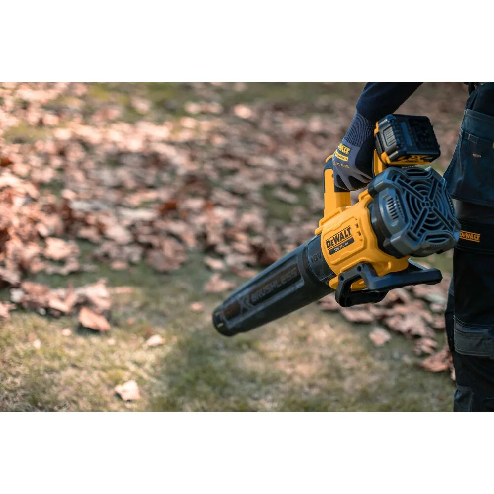 Pildil on näha DeWalt akutoitega lehepuhuri aku, mis on pakendatud käesse koos töötava tööriista osaga.