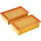 Festool Main Filter HF-CT/2 - 2 pcs