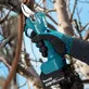 Makita cordless branch shears DUP181Z, without battery and charger