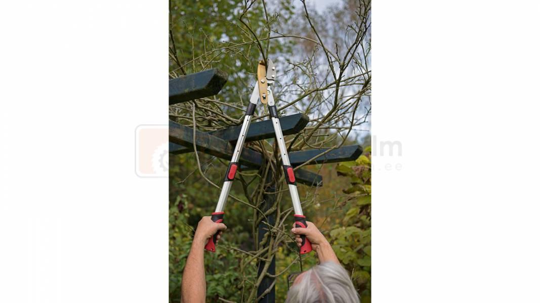 Pildil on näha, kuidas keegi kasutab Kreator pikendatavaid oksakääre puuokste lõikamiseks.