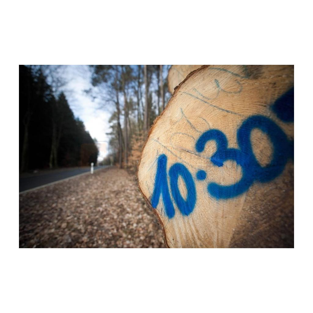 Neoonsinine puidu markeerimisvärv DISTEIN - 500 ml 2