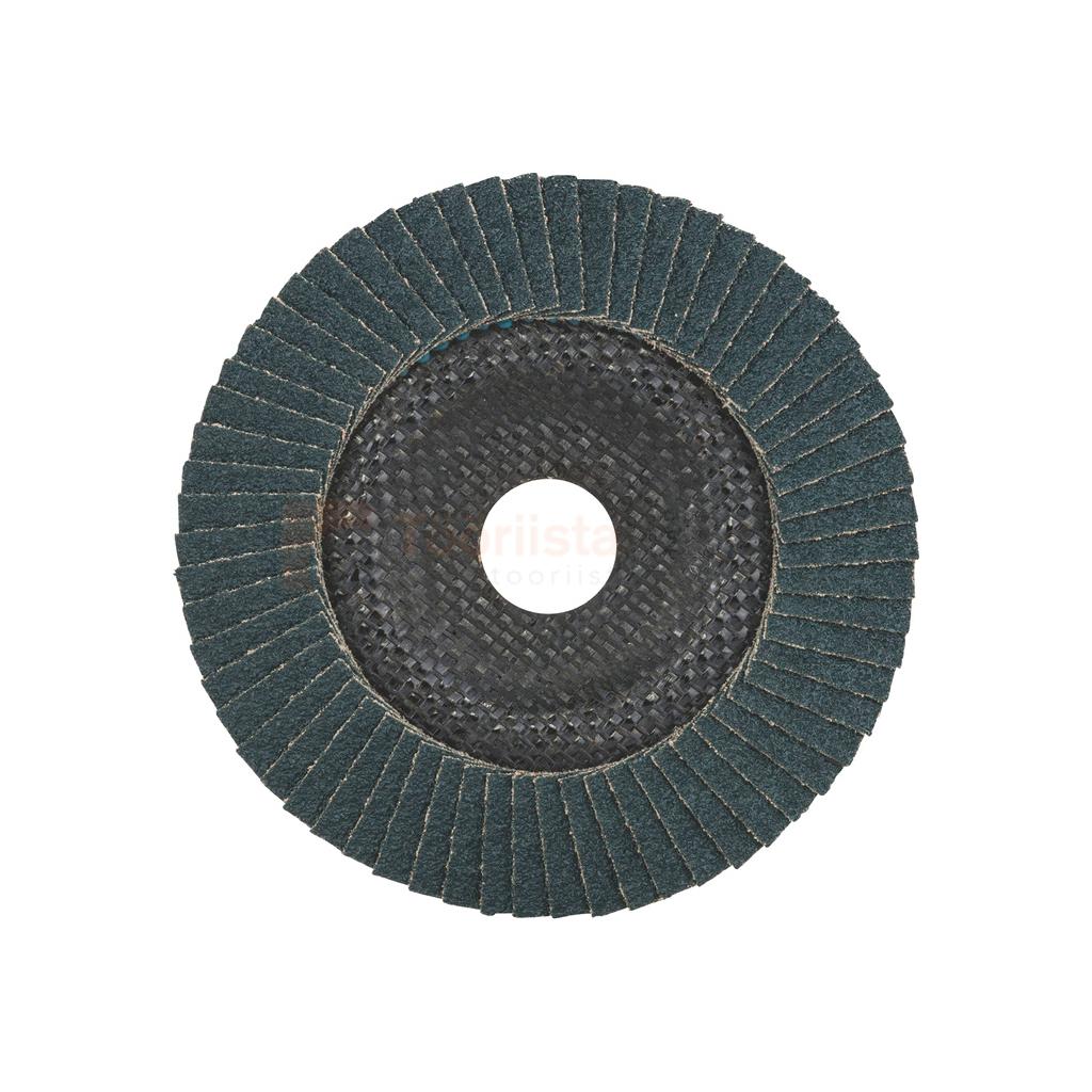 Lamell-lihvketas 125 mm kaldega, Bosch X551 - Expert for Metal